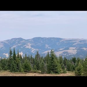 Meet your Posher, Robin